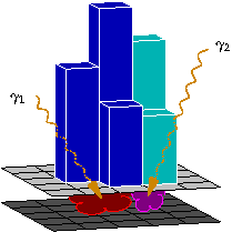 2photon_b.png